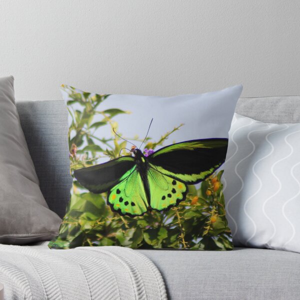 Item preview, Cairns birdwing designed and sold by robmac.