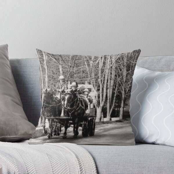Item preview, Drivers Ed - Amish Style designed and sold by Marcia Rubin.