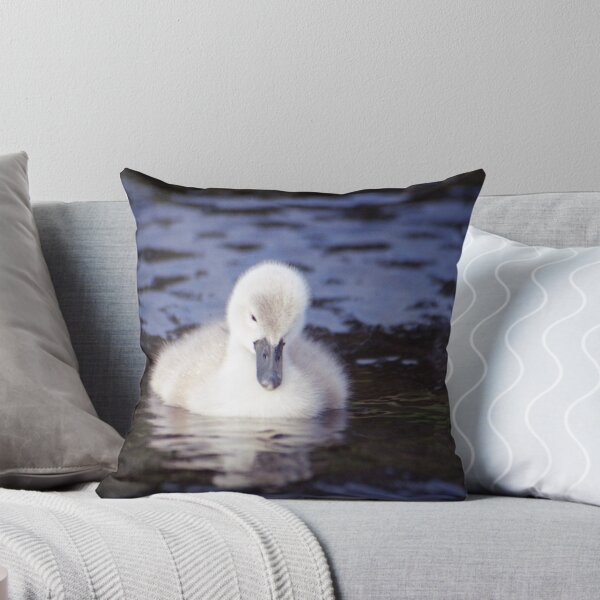 Artikelvorschau, Cygnet von Llanfairfechan entworfen und verkauft von Michael Haslam.