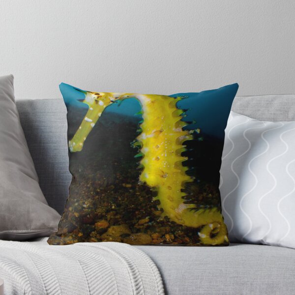 Item preview, Seahorse designed and sold by Carlos Villoch.