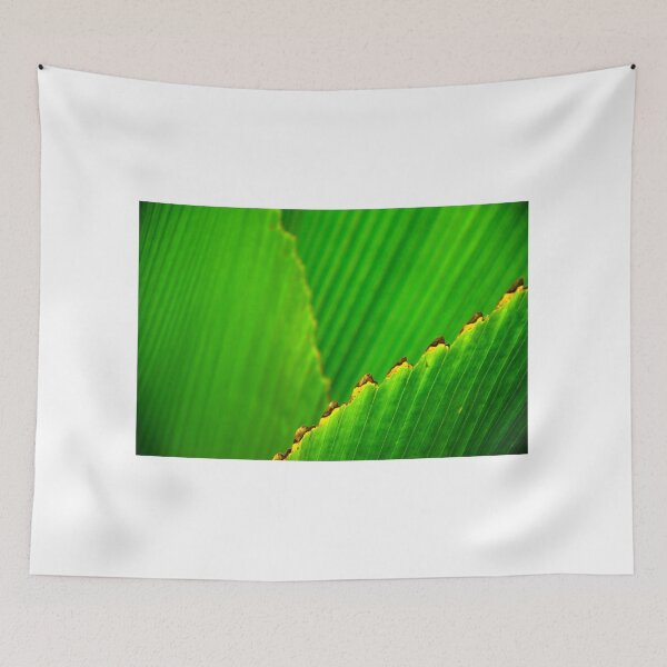 Item preview, Green Leaf designed and sold by J. S. Wolf Photography.