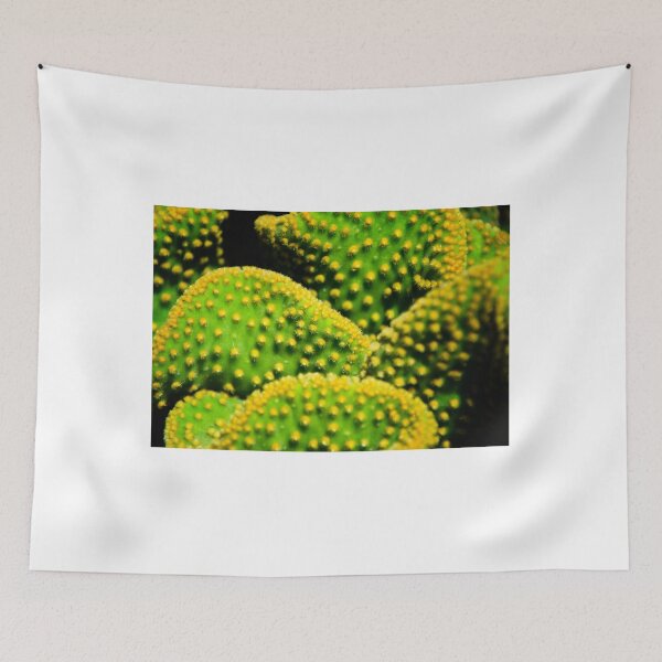 Item preview, Green Cactus designed and sold by J. S. Wolf Photography.