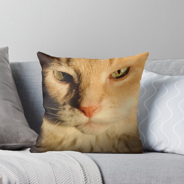 Artikelvorschau, Cat Portrait entworfen und verkauft von Steve  Savoie.