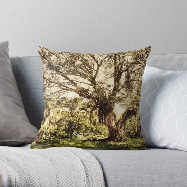 distance Throw Pillow