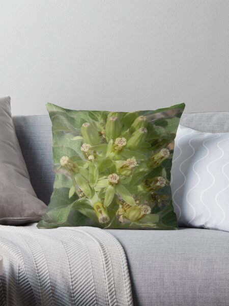 Item preview, Drought-Resistant Milkweed designed and sold by Navigator.