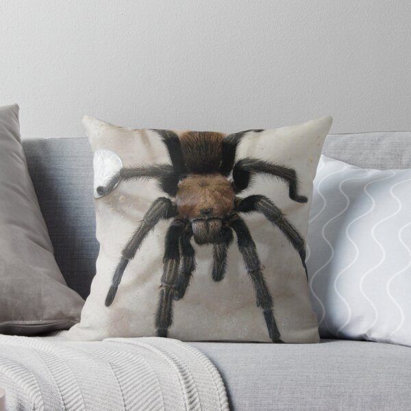 Item preview, Desert Blonde Tarantula designed and sold by nosajnybor.