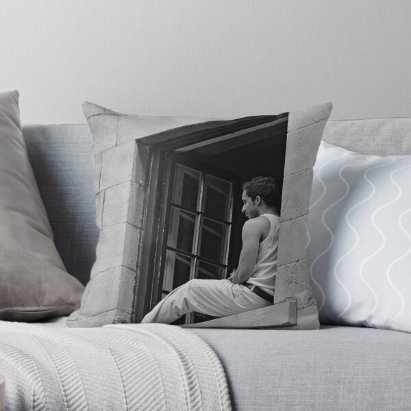 Solitude en Si Mineur Throw Pillow