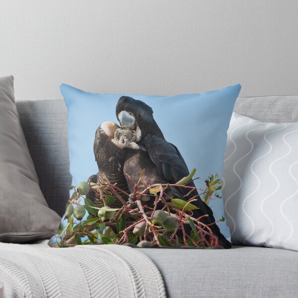 Item preview, Australia occidental. ¡Imagen tomada con una Nikon D90 y un teleobjetivo Sigma 150-500 mm! Http: //ih2.redbubble.net/work.7585328.1.fp designed and sold by Heather Thorning.