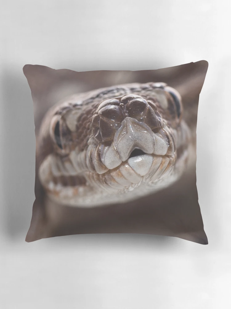 Thumbnail 3 of 4, Pillow, Bredli python designed and sold by Derek Byrne.