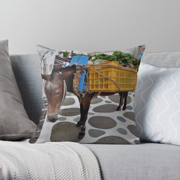 Donkey Load Throw Pillow