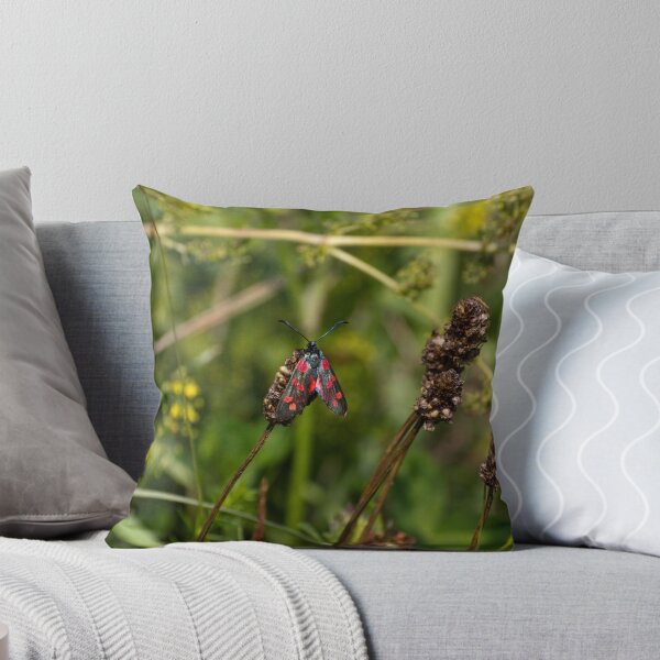 Item preview, Six Spot Burnet Moth  designed and sold by stay-focussed.