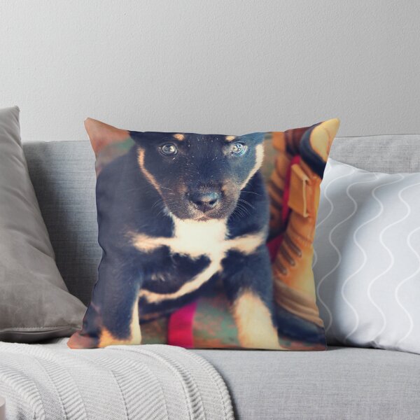 Item preview, Does anyone know the breed? designed and sold by oddoutlet.