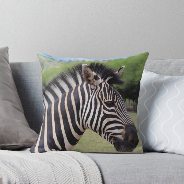 Aperçu de l'œuvre Tame zebra créée et vendue par Mel1973.