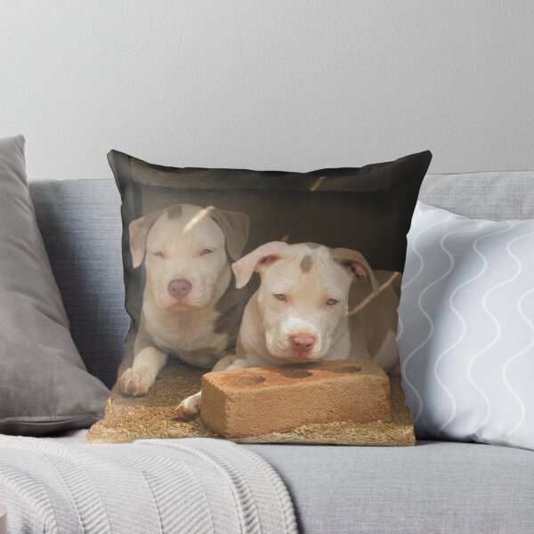 Item preview, We're Innocent ! designed and sold by Ginny York.