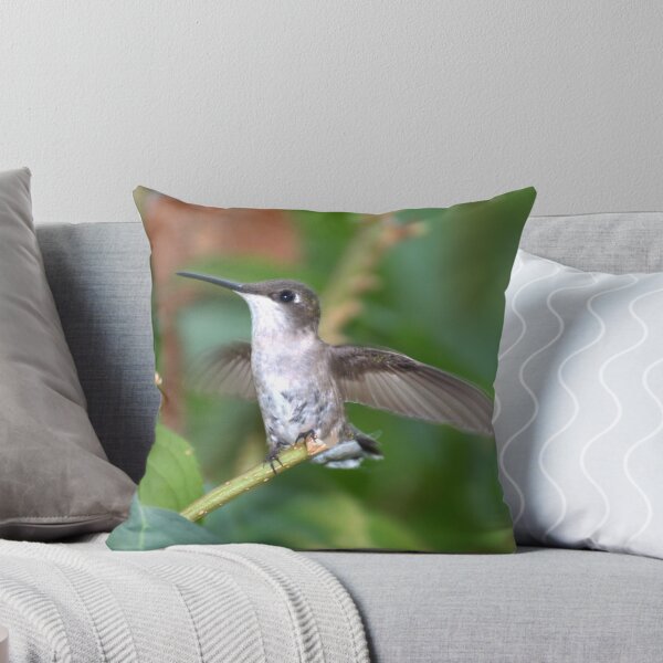 Item preview, Female Ruby Throated Hummingbird designed and sold by Bradley Sumner.