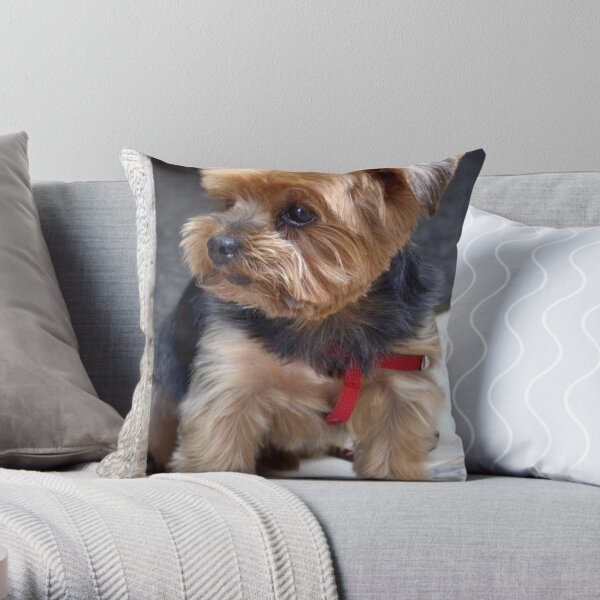 Bel bambino Throw Pillow
