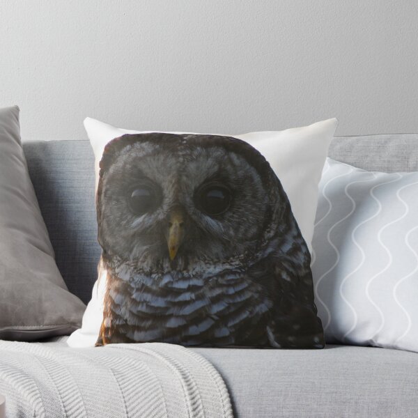 Artikelvorschau, owl entworfen und verkauft von Farley.