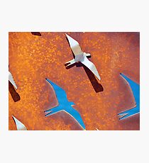 Sculptures by the sea - Bondi Photographic Print