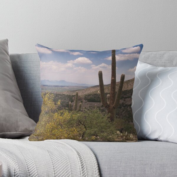 Desert Scene - Saguaro Throw Pillow