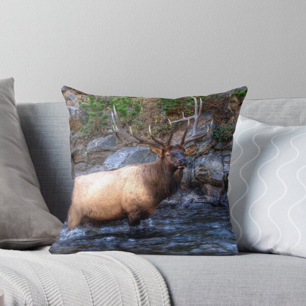 Item preview, Bull Elk - Rocky Mountain National Park , Colorado designed and sold by jphall.