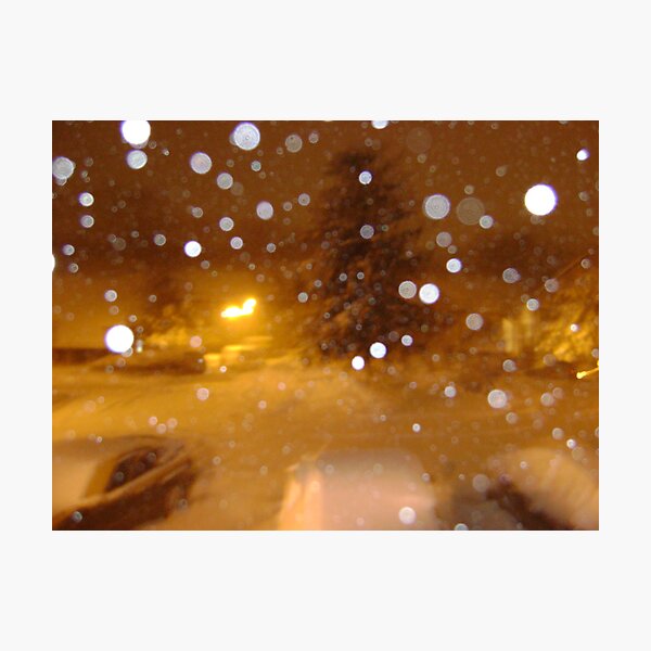 Snowy morning Photographic Print