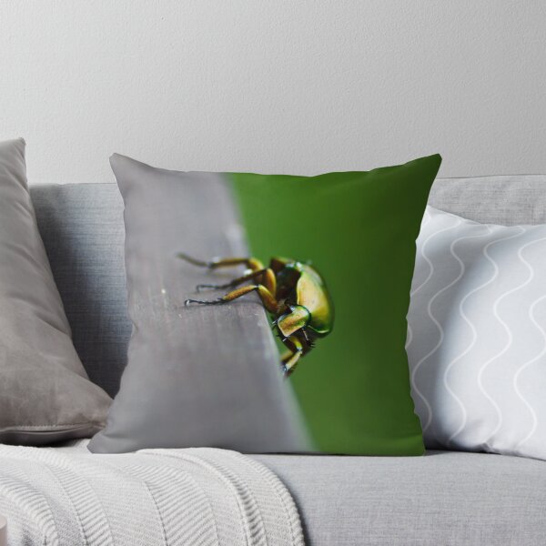 Artikelvorschau, Beetle entworfen und verkauft von brian hammonds.