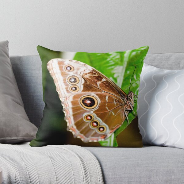 Beautiful Brown Butterfly Throw Pillow