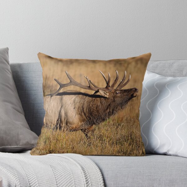 Item preview, Elk 2 designed and sold by kurtbowmanphoto.
