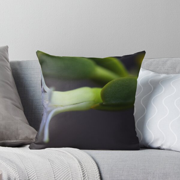 Item preview, Olax retusa designed and sold by andrachne.