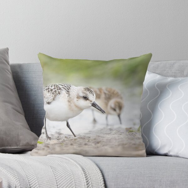 Item preview, Sanderling and Friends. designed and sold by Daniel Cadieux.