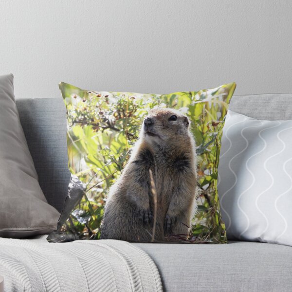 Item preview, Ground Squirrel's Garden designed and sold by May-Le Ng.