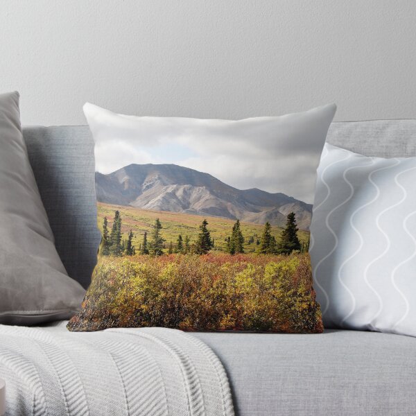 Autumn in the Interior Throw Pillow
