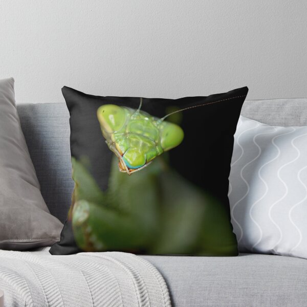 Item preview, Praying Mantis  designed and sold by Corri Gryting Gutzman.