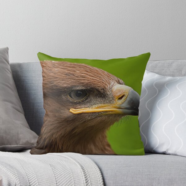 Item preview, Steppe Eagle designed and sold by JMChown.