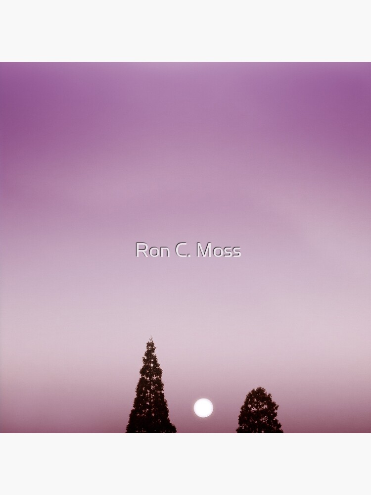 Thumbnail 4 of 4, Pillow, Two for One designed and sold by ronmoss.