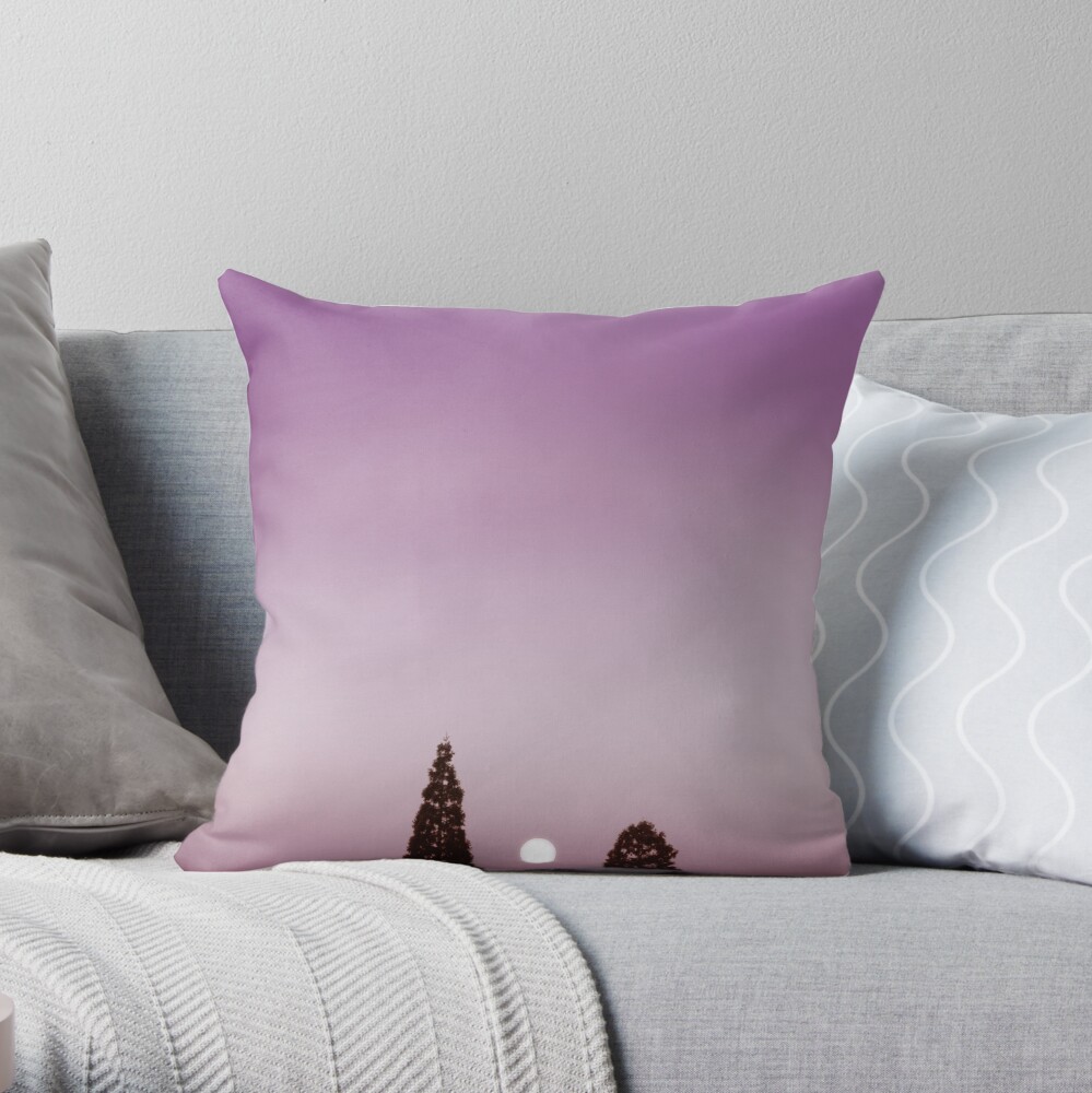 Two for One Throw Pillow