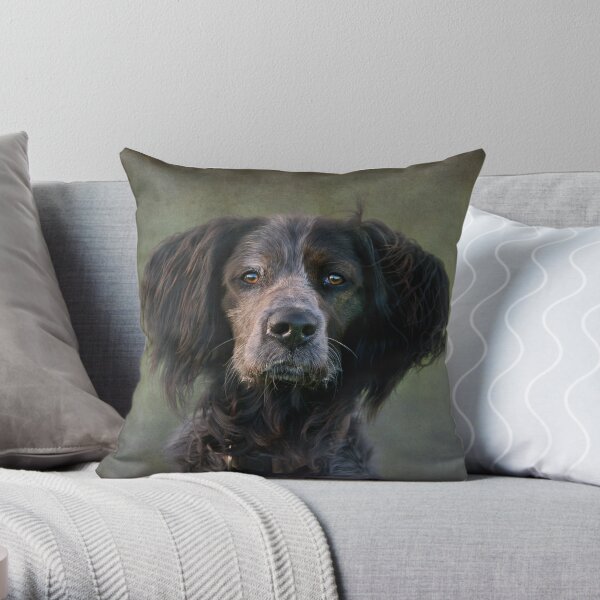 Frank. Throw Pillow