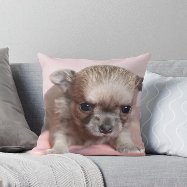 Aperçu de l'œuvre Sweet chihuahua puppy créée et vendue par MayJ.