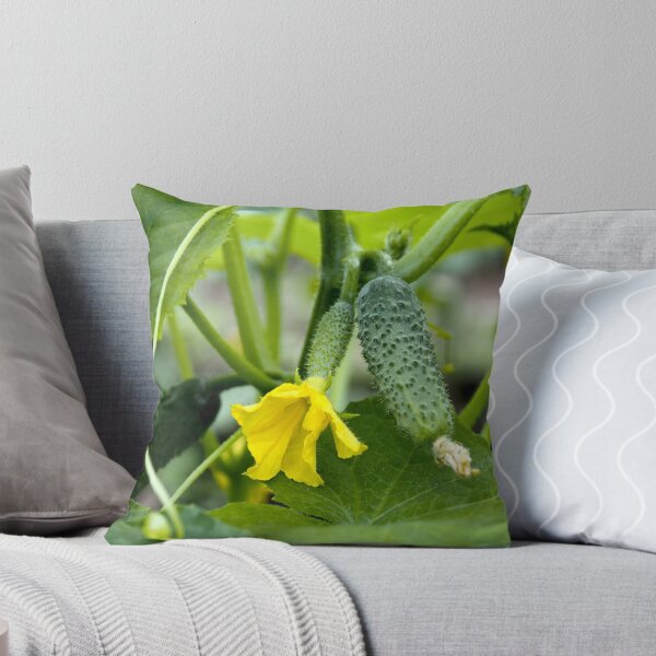 Item preview, Cucumbers in greenhouse designed and sold by qiiip.