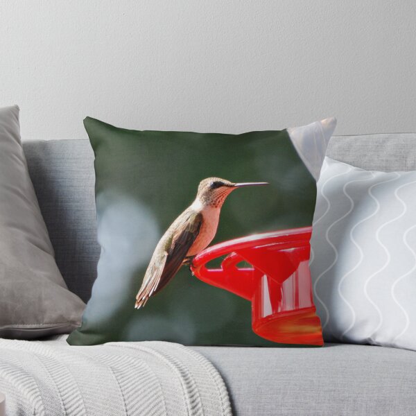 Item preview, Ruby Throated Hummingbird designed and sold by G. David Chafin Photography.