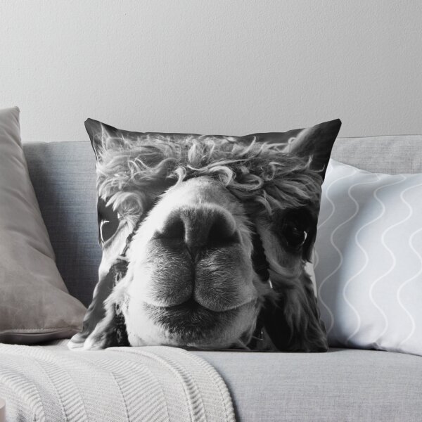 Item preview, Say Cheese and Smile Pretty! designed and sold by Marcia Rubin.