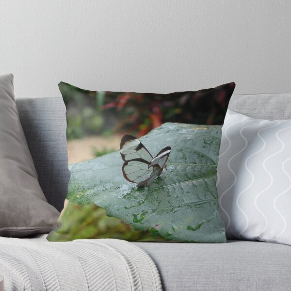 Item preview, a tiny little Glasswing designed and sold by ienemien.
