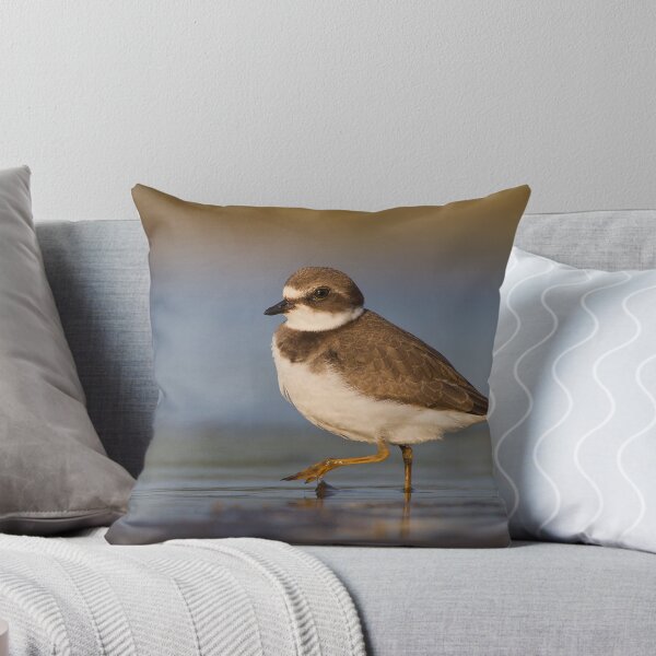 Item preview, Strutting juvenile Semipalmated Plover. designed and sold by Daniel Cadieux.