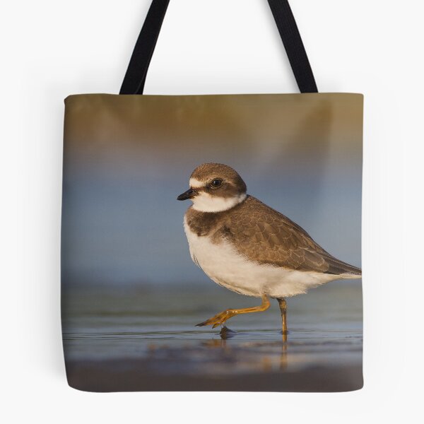 Item preview, Strutting juvenile Semipalmated Plover. designed and sold by Daniel Cadieux.