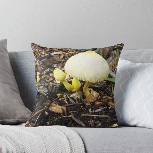 Item preview, Around You by Stephen Corti-Griffiths designed and sold by Access Arts Camera Wanderers.