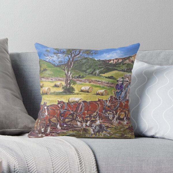 Boonah Express Throw Pillow