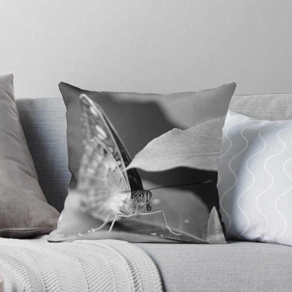 Item preview, Sheltering  designed and sold by Darren Bailey LRPS.