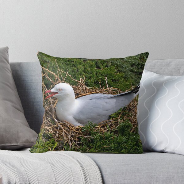 Item preview, Seagull nesting, Phillip Island, Victoria. designed and sold by johnrf.