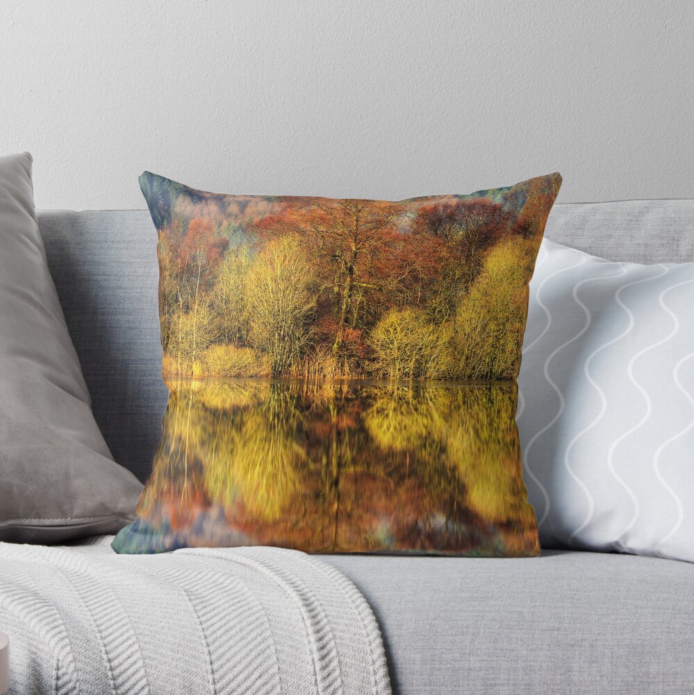Chon Colours (1) Throw Pillow