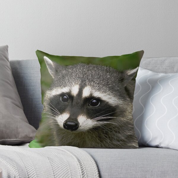 Item preview, Racoon designed and sold by haybales.
